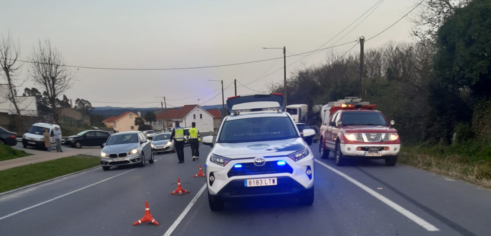 Muere una larachesa al ser atropellada por un conductor que trabaja en el taller de su hijo