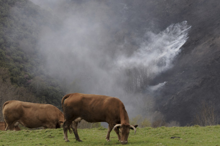 Controlados los incendios de Baleira y Viveiro, que suman 1.490 hectáreas calcinadas