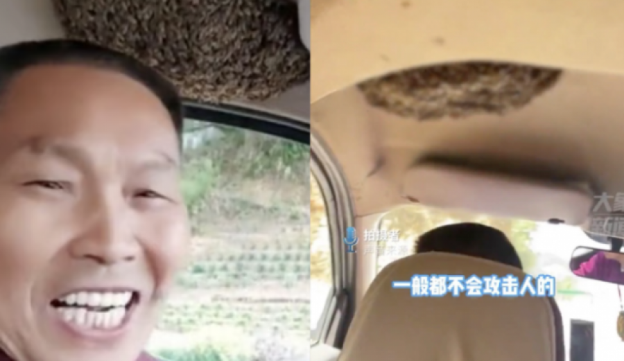 Un hombre que conduce con una colmena de abejas en su coche causa sensación en China
