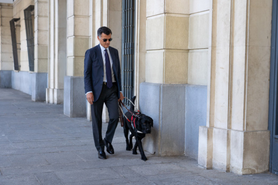El perro Pusky, los "ojos" de un magistrado de la Audiencia de Sevilla