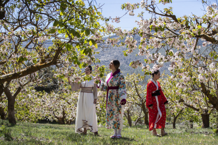 Un pueblo de Málaga se convierte en Japón gracias a sus cerezos en flor