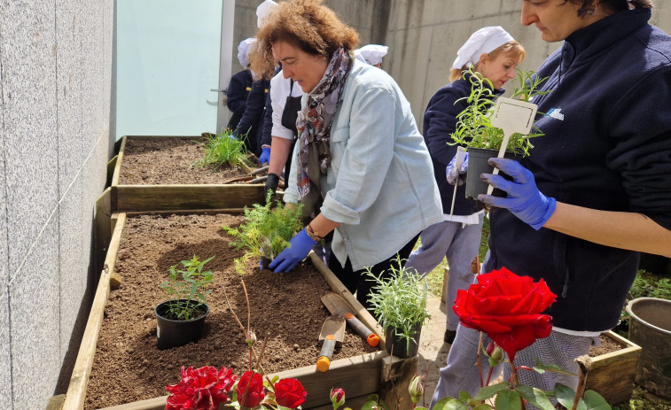 El servicio de jardines de Carballo forma a los alumnos de cocina el obradoiro Fórum Dual