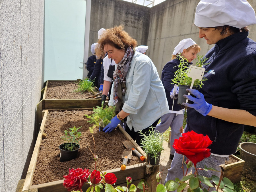 El servicio de jardines de Carballo forma a los alumnos de cocina el obradoiro Fórum Dual