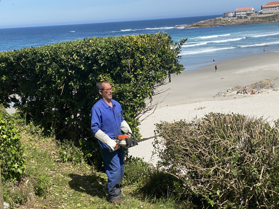 En marcha la limpieza de la vegetación en la playa de Caión