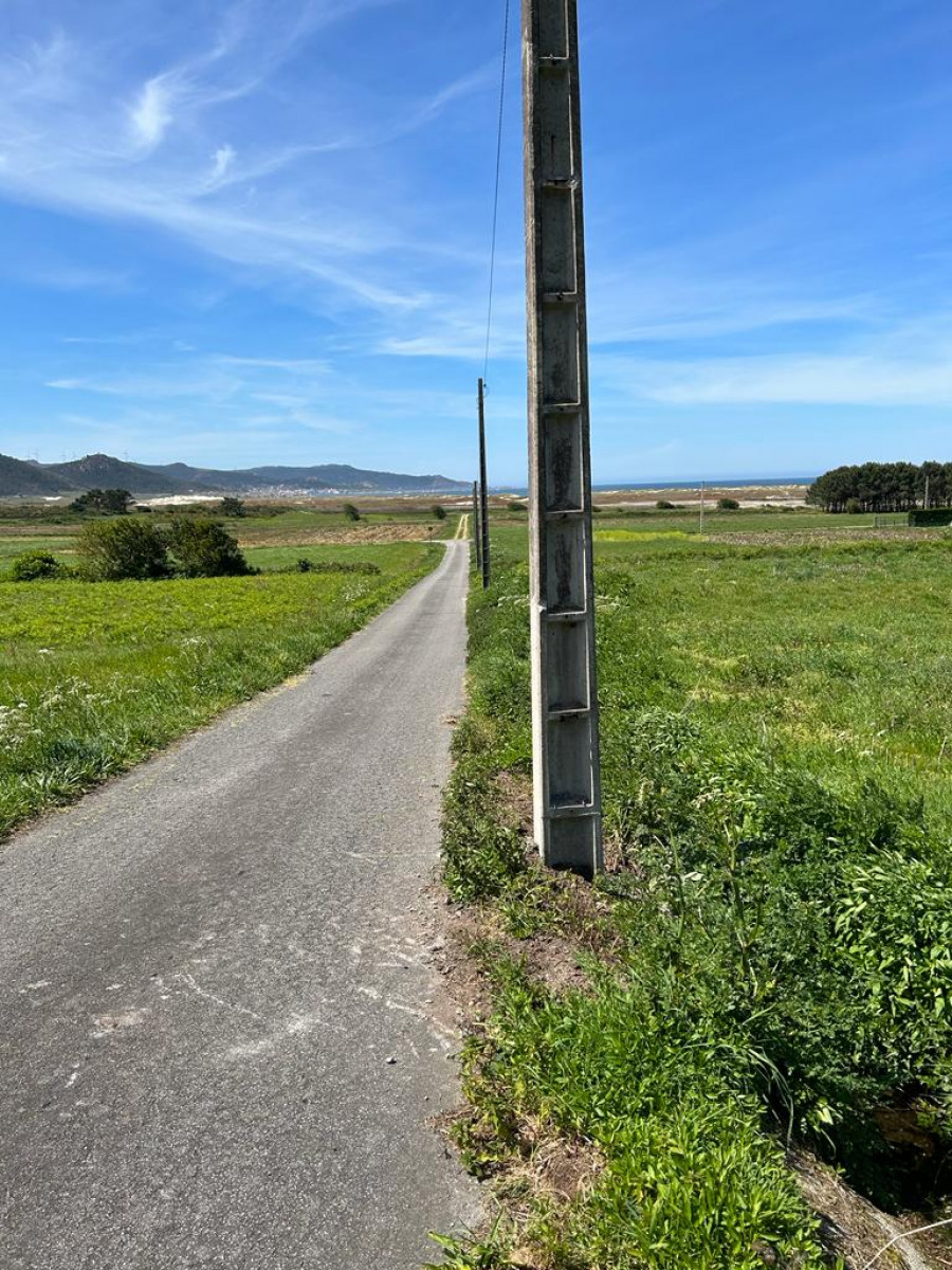 El PSOE de Laxe denuncia el peligro que entrañan los postes del tendido eléctrico en Boaño