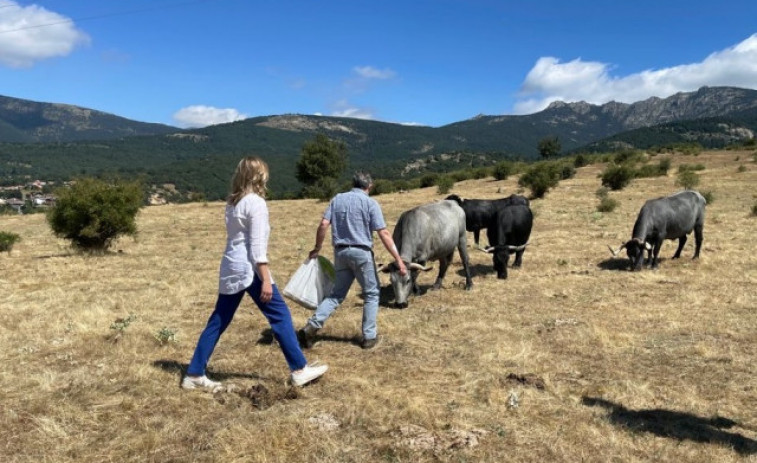 El Gobierno rebaja el 25% en el IRPF para ayudar a 800.000 agricultores y ganaderos por la sequía