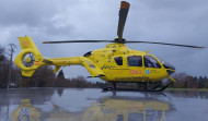 Herido de consideración un hombre tras caerle un árbol encima en Santa Comba