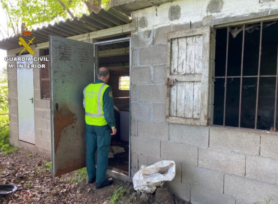 Arrestan un hombre que dejó morir de hambre a cinco perros en un cobertizo de Gondomar