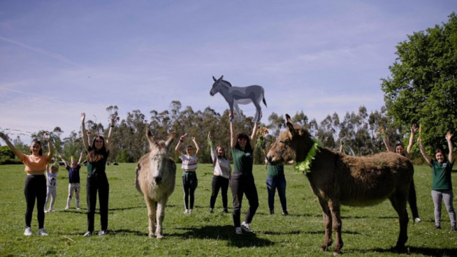 Los burros de una granja ecológica piden que su nombre deje de ser peyorativo
