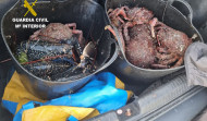 Incautados en Malpica 23 kilos de centolla y 3,5 de bogavante