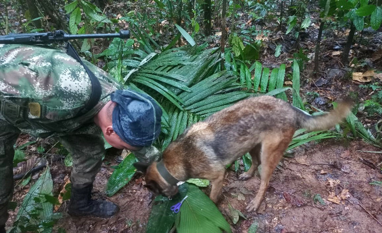 Petro anuncia que los cuatro menores desaparecidos en la selva colombiana aún no han sido localizados