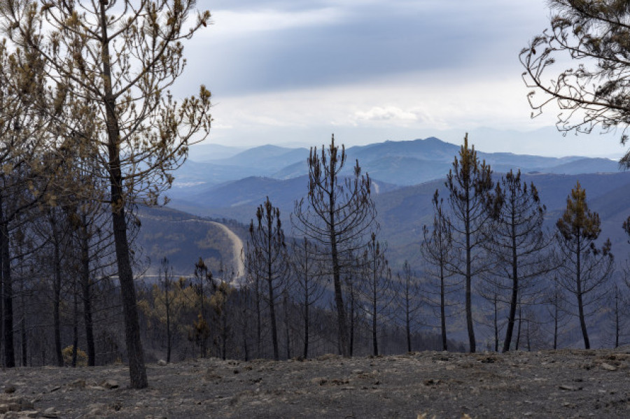 La Fiscalía vigilará que los ayuntamientos adopten medidas  para tratar de prevenir los fuegos forestales