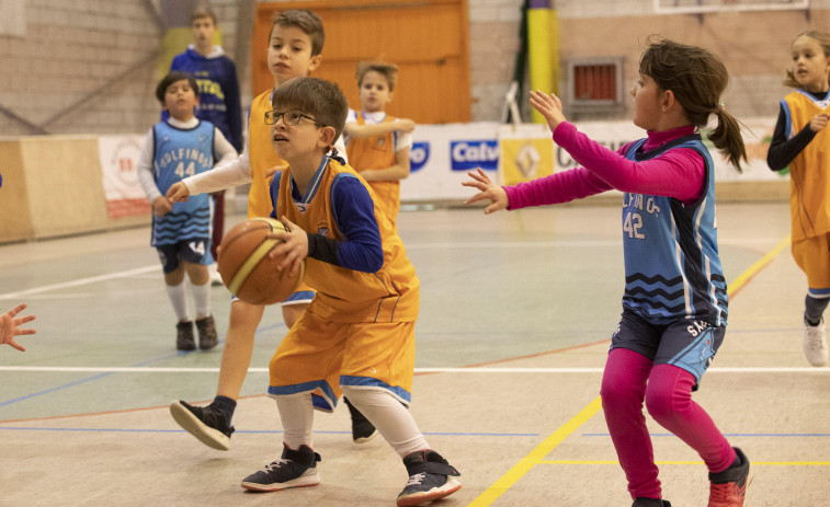 Carballo acoge este sábado la última jornada de la liga Baby Basket