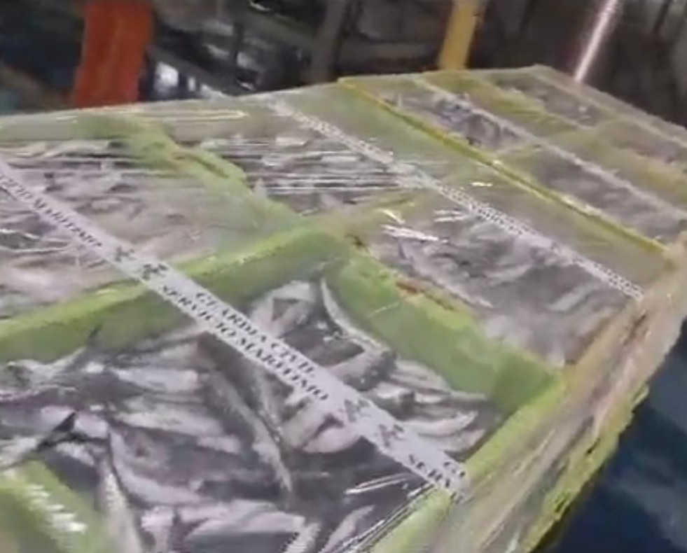Sardinas Muros