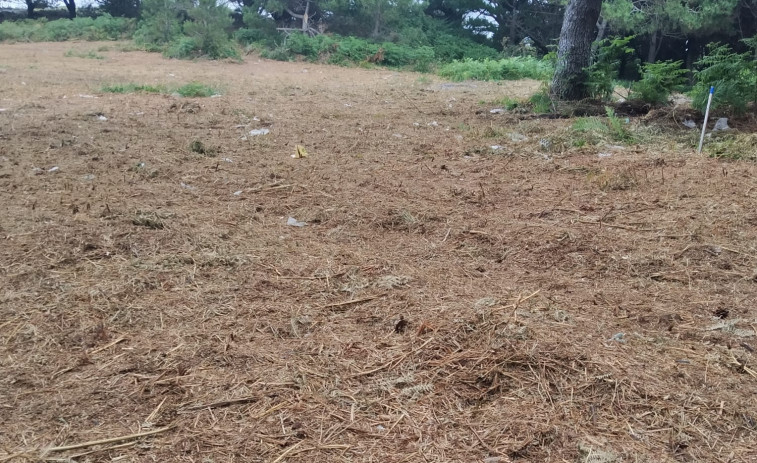 La Xunta y el Concello de Laxe repoblarán con especies autóctonas el monte da Insua