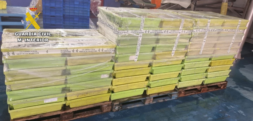 La Guardia Civil se incauta de más de 1.100 kilos de sardina en Malpica