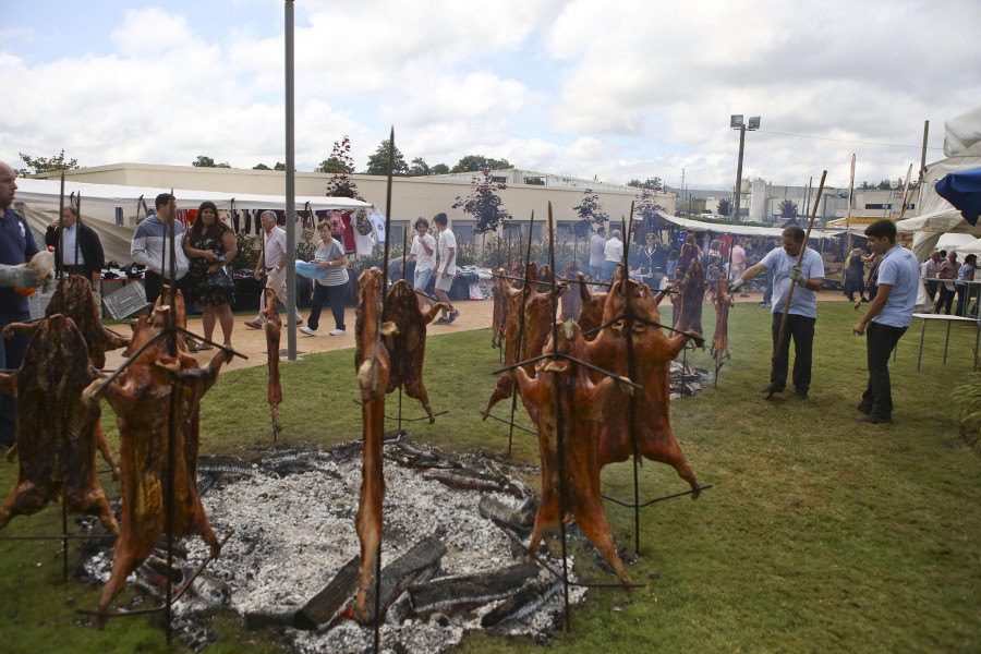 Cerceda rendirá culto al "cochiño" el 29 de julio