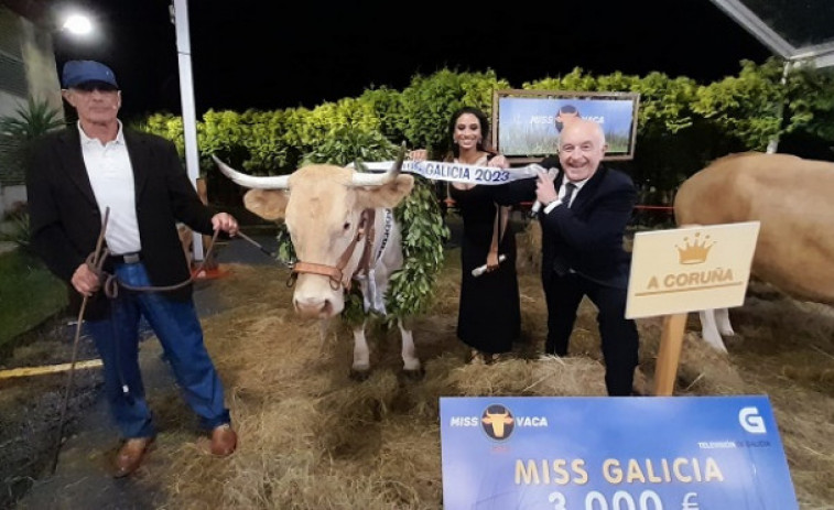 Blanca, representante de A Coruña, se convierte en Miss Vaca 2023