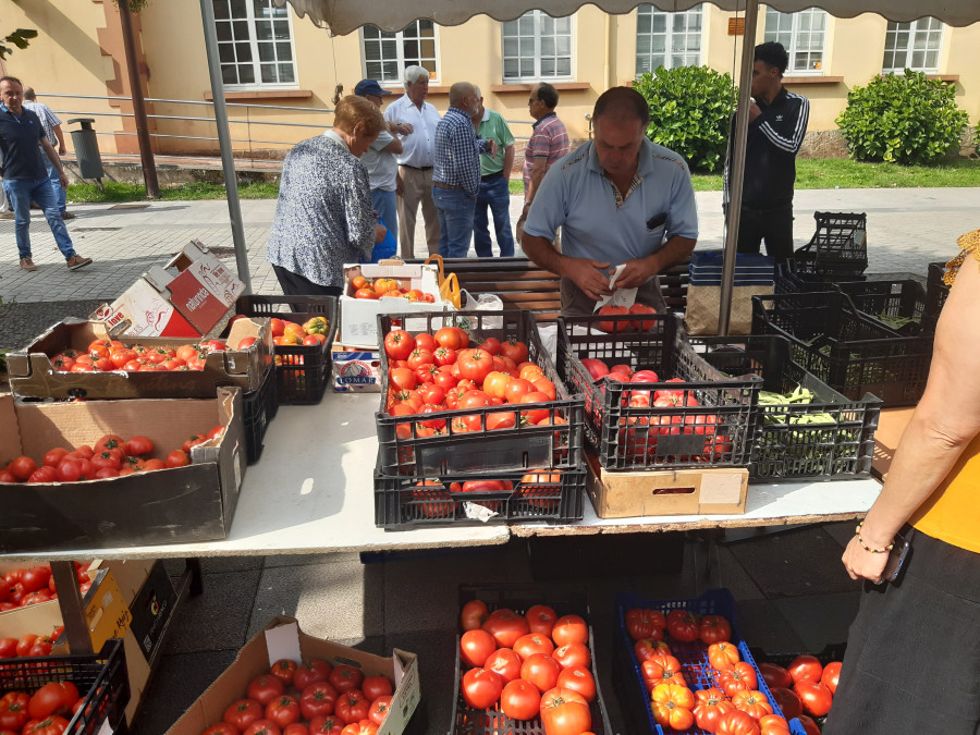 Comercio, literatura y campaña electoral conviven  en la feria carballesa