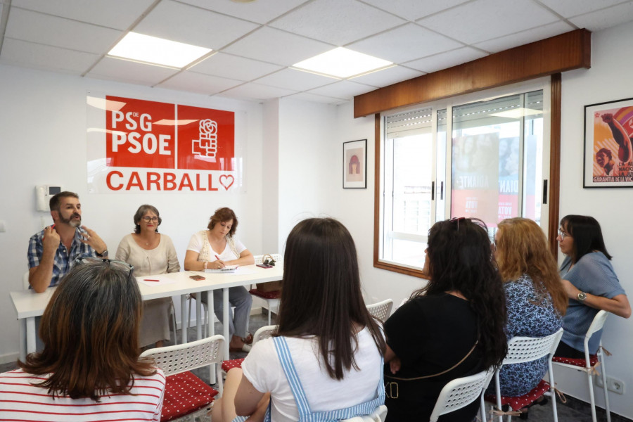 El PSOE llevará al Parlamento y al pleno las reivindicaciones de la Anpa del San Luis Romero