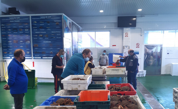 La cofradía de Laxe pone en valor los productos del mar con las II jornadas de pesca artesanal