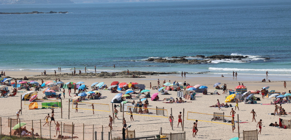 Crías de quenlla, esta semana en la playa de Laxe