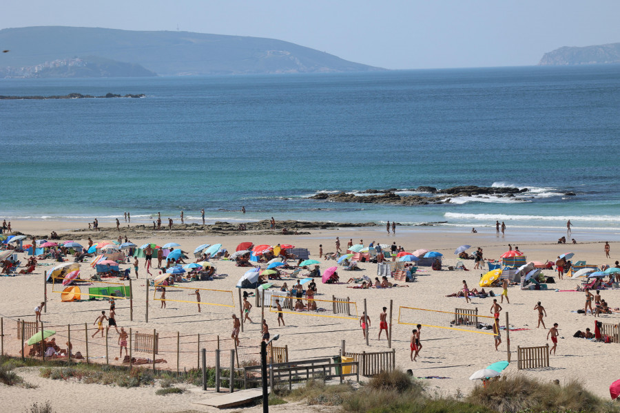 Crías de quenlla, esta semana en la playa de Laxe