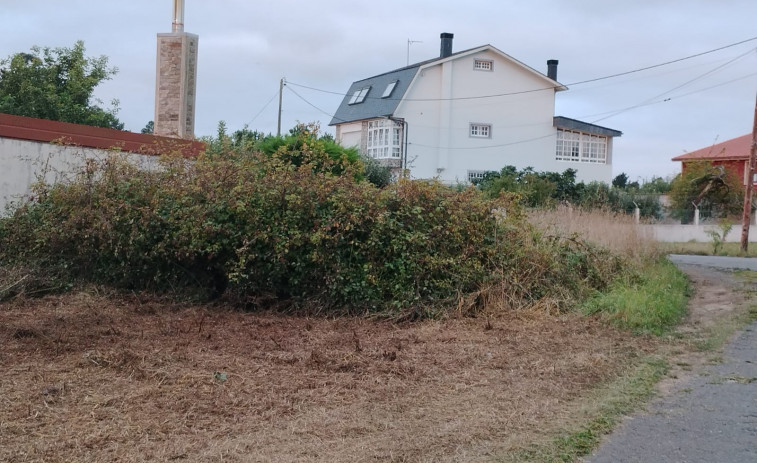 CxG Carballo pide que se limpien las fincas de la rúa Instituto