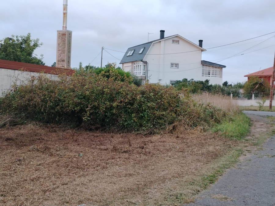 CxG Carballo pide que se limpien las fincas de la rúa Instituto