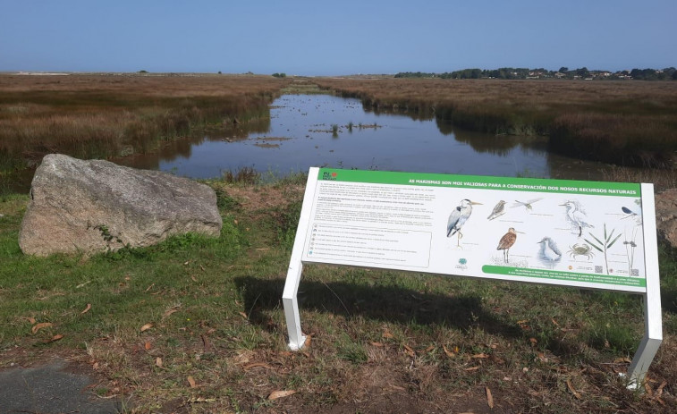 Nuevo panel en el mirador de Sambade para divulgar la marisma de Baldaio