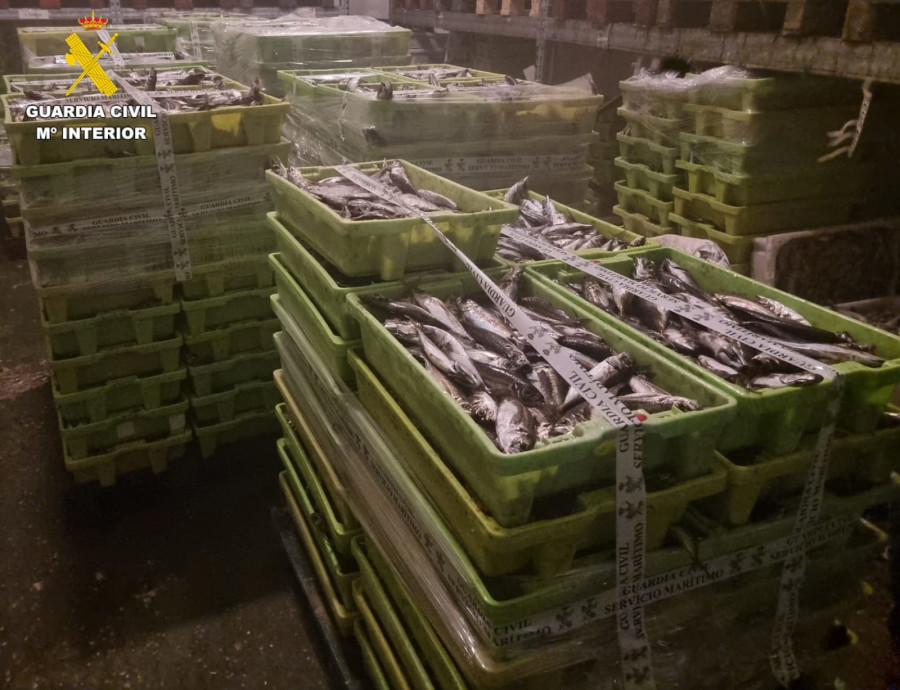 Incautadas más de tres toneladas de jurel en el puerto de Camariñas
