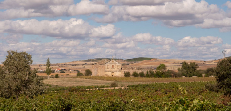 Viñas del Cénit lanza la colección Field Blend