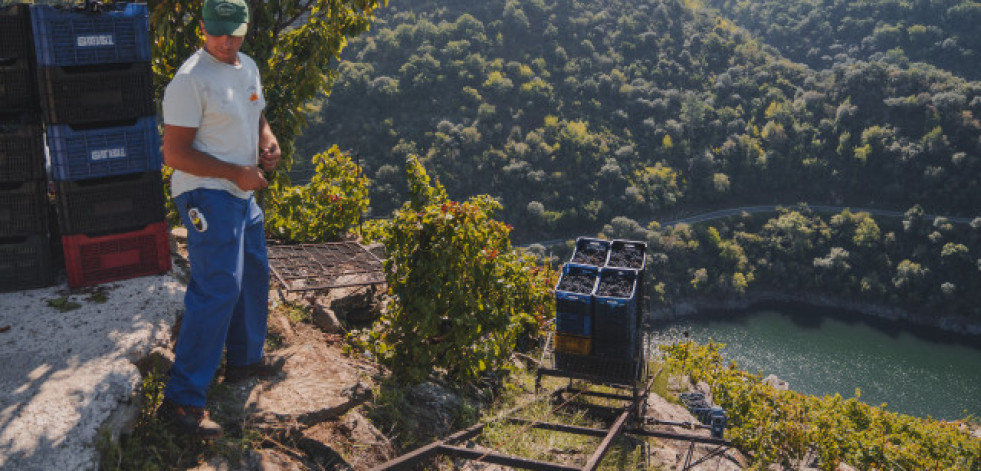 Ponte da Boga, donde el vino y la historia se unen en un desafío heroico