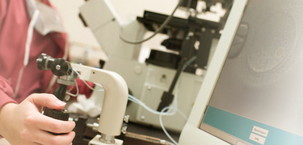 Cómo la Inteligencia Artificial puede mejorar el éxito en los tratamientos de reproducción asistida