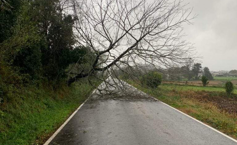 Las lluvias y el viento dejan incidencias en la zona