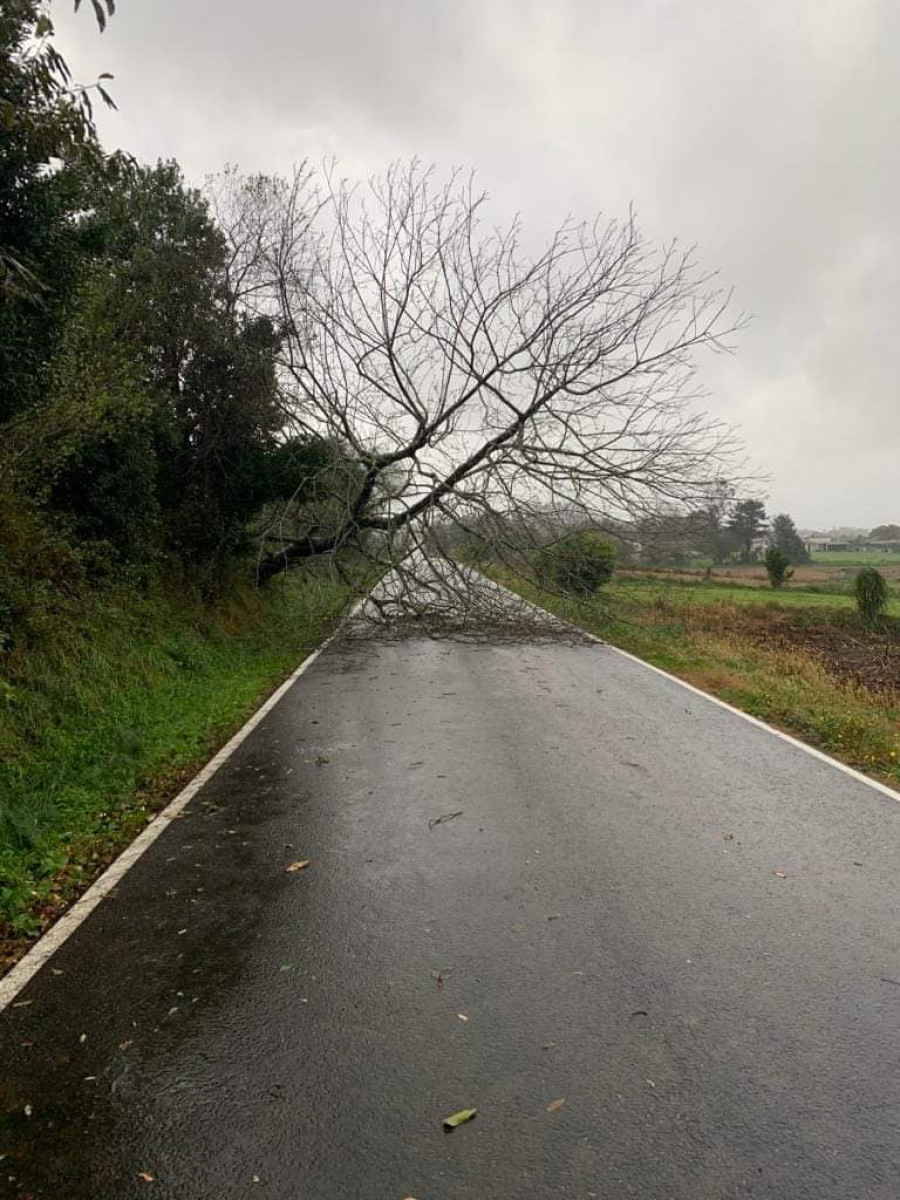 Las lluvias y el viento dejan incidencias en la zona