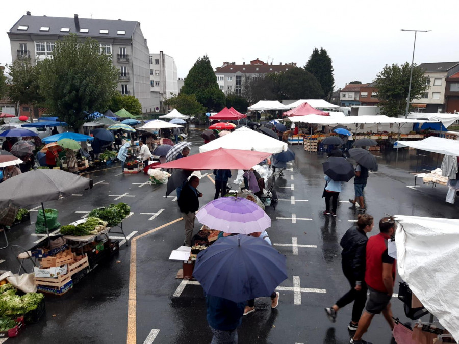 El manojo de los primeros grelos y nabizas cotizan en la feria de Paiosaco a 1,50 y 2,50 euros