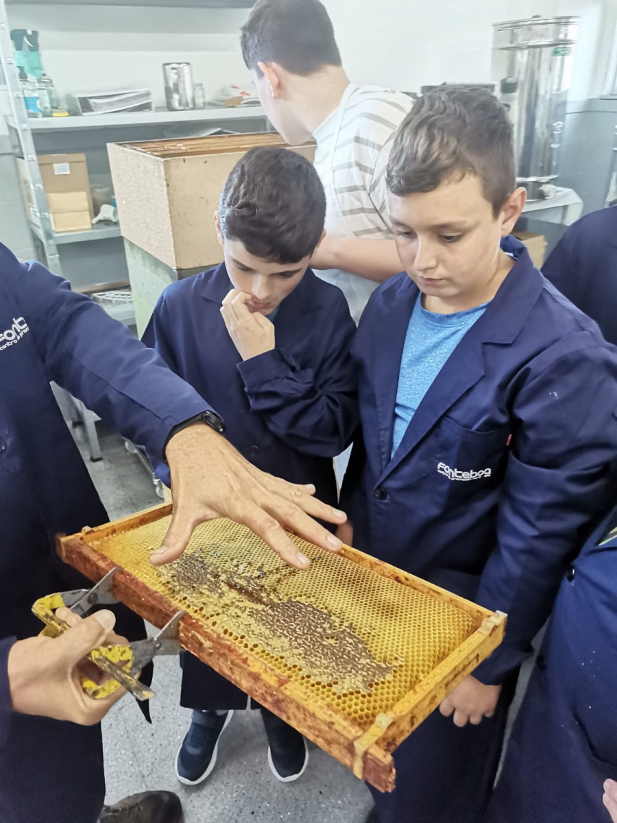 Empieza la formación en apicultura en Fonteboa