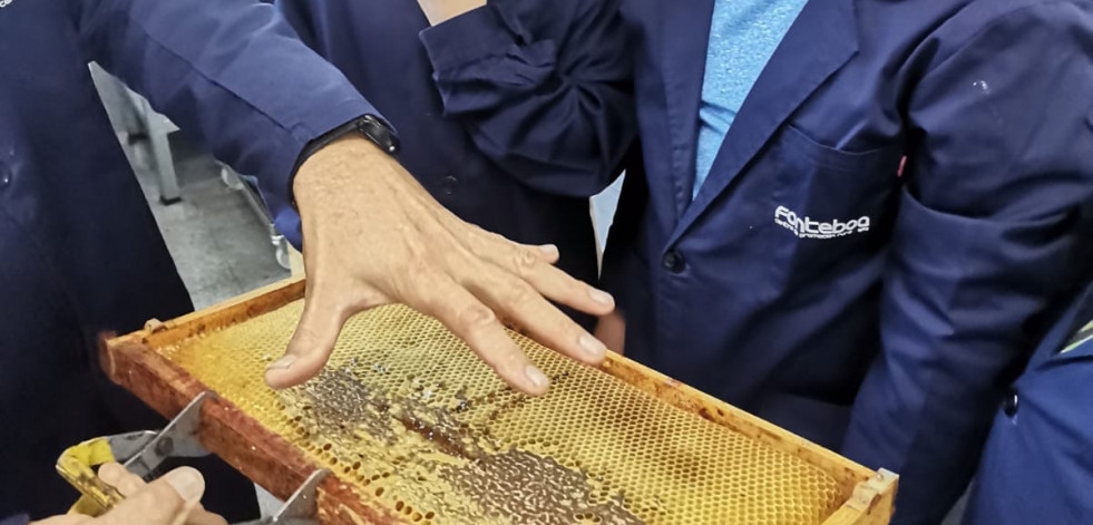 Empieza la formación en apicultura en Fonteboa