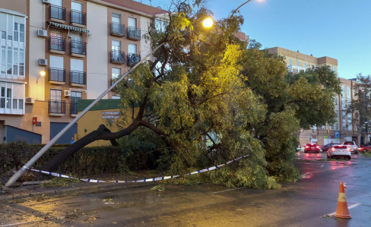 Dos muertos, siete heridos y más de 2.000 incidencias en Andalucía por el temporal