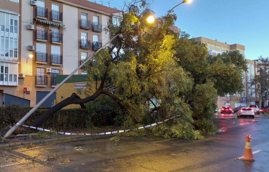 Dos muertos, siete heridos y más de 2.000 incidencias en Andalucía por el temporal