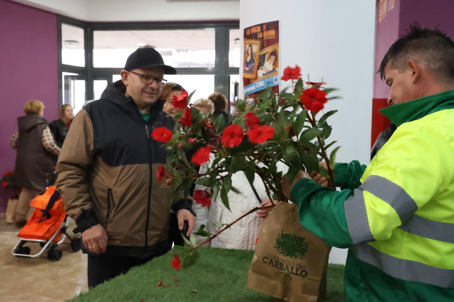 Exitoso reparto de las plantas de temporada en Carballo
