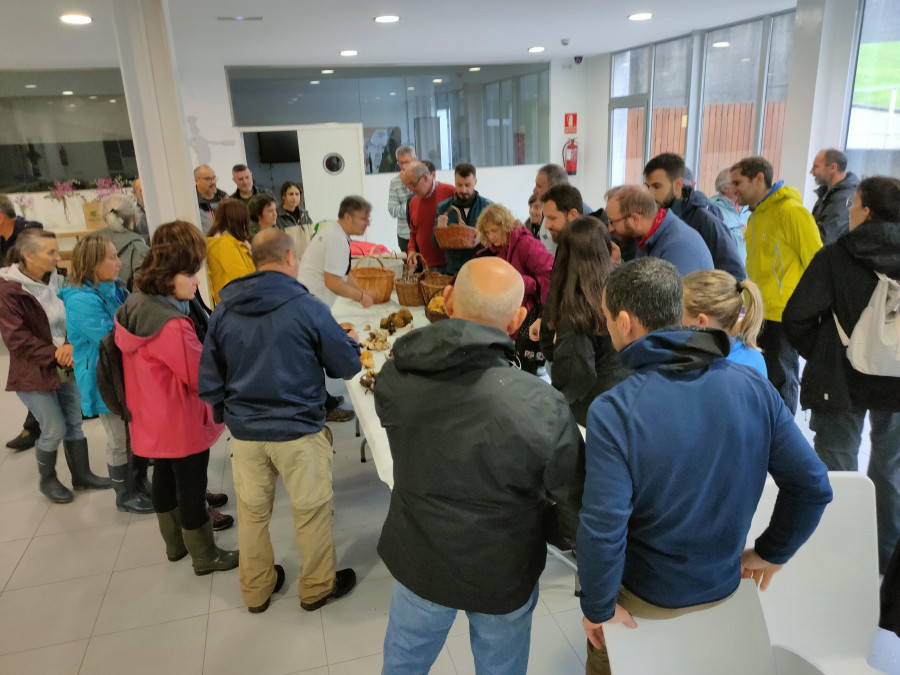 Setas pasadas por agua en Carballo