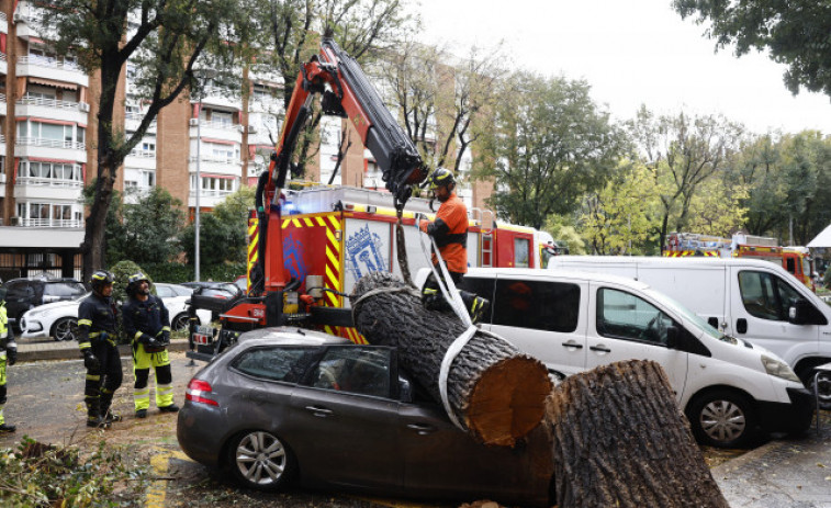 Fallece una joven en Madrid tras caerle un árbol por el fuerte viento