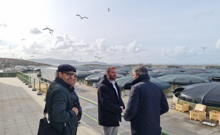 La Xunta de Galicia renueva la concesión a la factoría  Stolt Sea Farm hasta el 2031