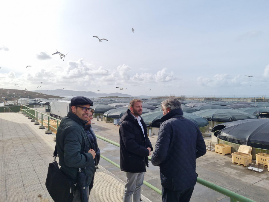 La Xunta de Galicia renueva la concesión a la factoría  Stolt Sea Farm hasta el 2031