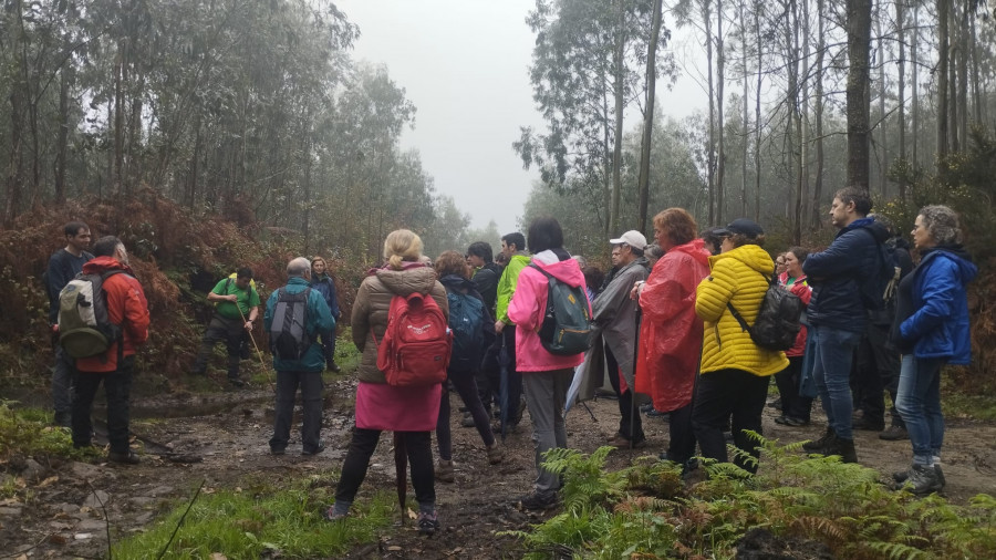 Senda Nova culmina su Outono en Marcha en el Monte Neme