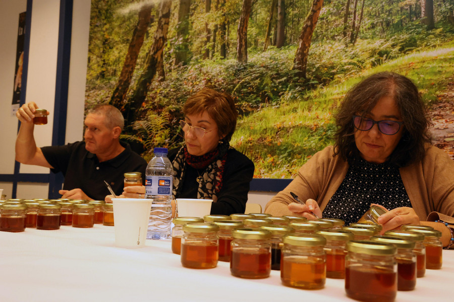 Fonteboa prepara una cata de miel para el 2 de diciembre