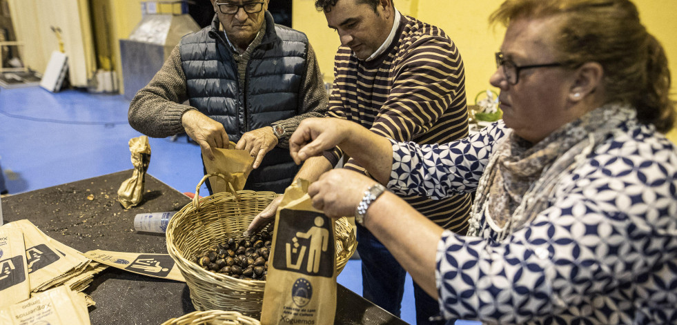 Magosto y artesanía en Laxe, y callos en Ardaña