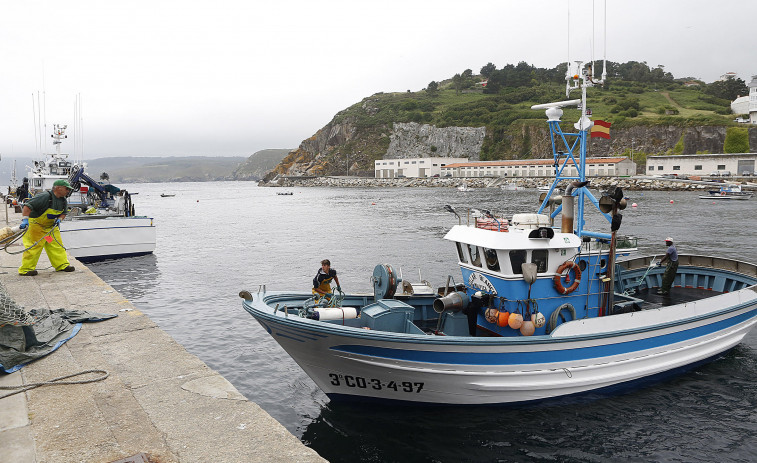 Las ventas en la rula de Malpica caerán un 40% tras decretarse el cierre la pesca del abadejo